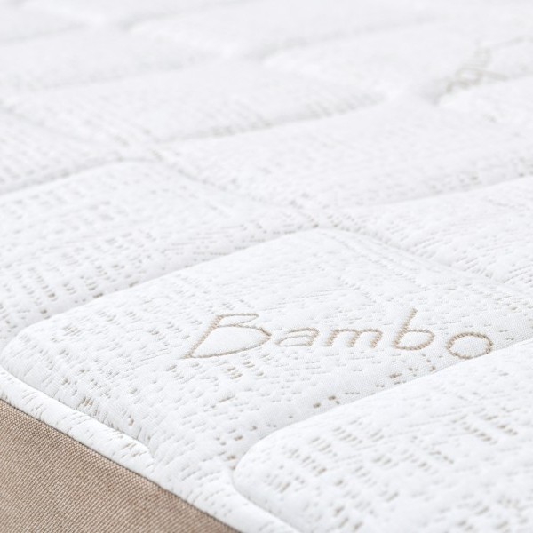 Bamboo 6